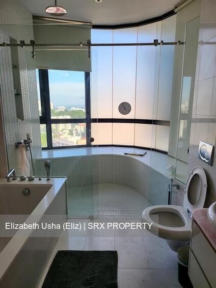 Skyline 360 @ Saint Thomas Walk (D9), Condominium #525725251